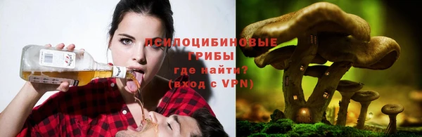 спайс Абаза