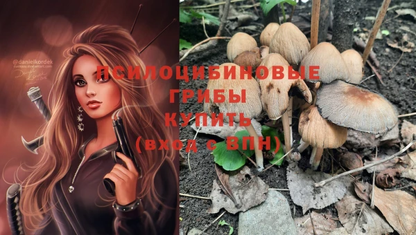 прущая мука Абинск