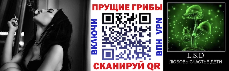 mega рабочий сайт  Духовщина  Псилоцибиновые грибы Psilocybe 
